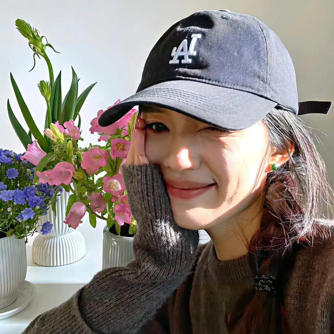 嘟嘟猫观察日记