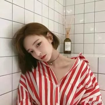 老鼠危机